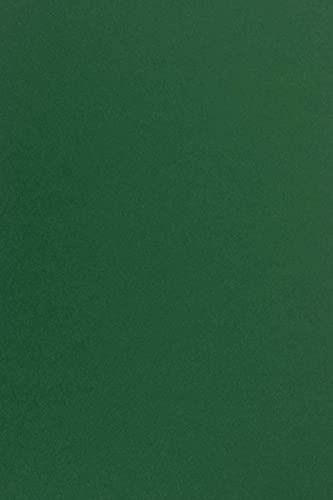 Netuno 10x Tonkartong Mörkgrön DIN A4 21 x 29,7 cm 170g Sirio Color Foglia Finkartong färgad Pysselkartong tryckt Tonpapper Kreativt kartong Skola pyssel trycka Dekoration Kort Jul