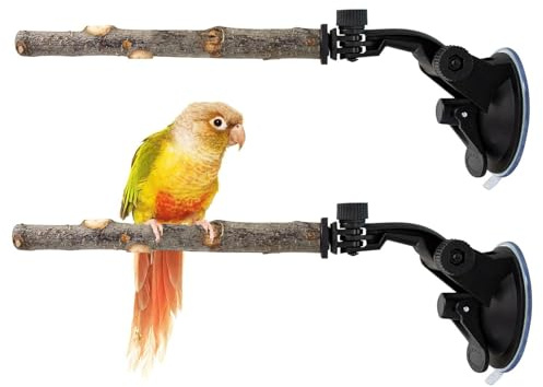Dayysiuy Posadero para Loros,2 Piezas Perchero De Madera con | Juguete Percha para Aves con s De Madera,para Exterior Apartamento Patio Árbol Pared Ducha Espejo