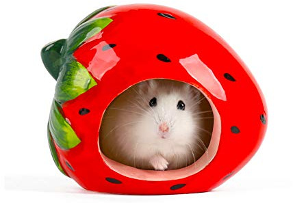 LaMure Ceramic Hamster House Cartoon Cute Fruit Shape Hamster Cave Summer Cool Off Winter Keeping Warm Small Animal Nest Habitat (strawberry)