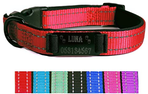 Hundehalsband Halsband Name Gravur personalisiert Haustier Hund Katze Nylon besonders stabil (L, Rot)