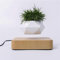 Kiko-ershaa Vasi per Bonsai Vaso Levitazione Magnetica Vaso Pianta Vaso da fiori sospeso Vaso da fiori per decorazione da scrivania