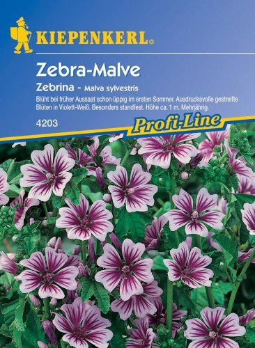 Sperli Blumensamen Malve Zebrina, grün
