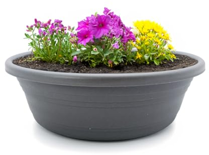 Macetero y platillo como cuenco para plantas resistente a la intemperie con agujero, gran maceta de 25 cm en color gris como maceta redonda, resistente a las heladas para exteriores, maceta para