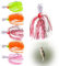 CHEVVY 6 Stück Chatterbait Set Kunstköder Spinnköder Set 10.8g Spinnerbait Spin Buddy Angelköder Chatterbait Kunstköder Set für Forelle, Barsch, Hecht, Döbel, Zand