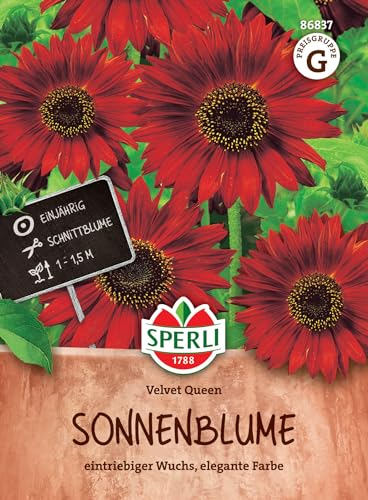Sperli Sonnenblumensamen Velvet Queen 86837 • Einjährig • Wuchshöhe 1-1,5 m • Dunkelrotbraune Blüten • Ideal für Beete, Häuser und Zäune • Saatgut für 40 Pflanzen