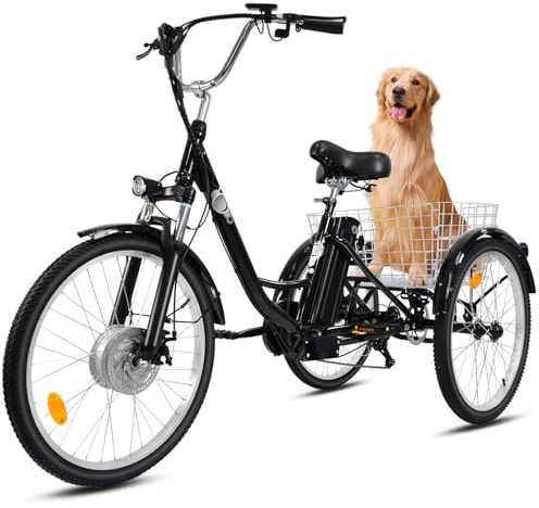 Bicicletta elettrica triciclo per adulti, 24 pollici, pieghevole, per uomo e donna, 3 ruote, batteria al litio da 36 V, 15 Ah, motore elettrico da 250 W, display LCD, velocità 25 km/H