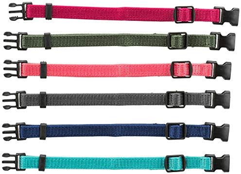 TRIXIE Junior Welpenhalsband Größe S–M: Halsumfang 17–25 cm/10 mm in fuchsia, grafit, indigo - kleines Hundehalsband für kleine bis mittelgroße Hunde, 6er Set zur Gewöhnung, 15552