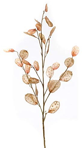 artplants.de Rama de lunaria Decorativa BUELNA, marrón Claro, 105cm - Lunaria Artificial - Planta Falsa
