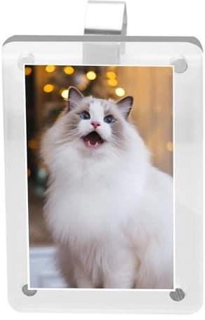 Car Sun Visor Photo Holder,Car Gadgets Accessories,Sun Visor,Universal Magnetic Photo Clip,Personalized Accessories Can be Used to Add Your Personal Photo
