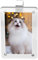 Car Sun Visor Photo Holder,Car Gadgets Accessories,Sun Visor,Universal Magnetic Photo Clip,Personalized Accessories Can be Used to Add Your Personal Photo