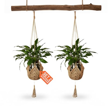 Avilia - Set 2 Portavasi Sospesi in Macramè Intrecciato a Mano per Vaso per Piante da Interno, Decorazione Boho Rustica Facile da Appendere con Ganci Inclusi, Stile Elegante e Salvaspazio