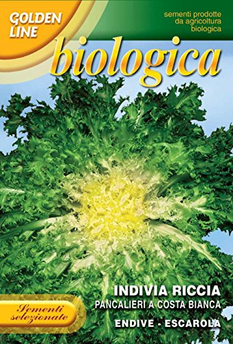 Franchi Seeds of Italy Organic Range Endive Pancalieri Seeds