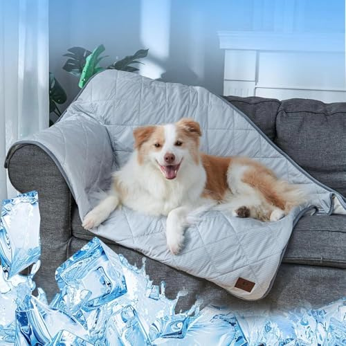 Snocyo Vattentät hundfilt, mjuk husdjursfilt, tvättbar skyddsfilt soffskydd, tjock matta på båda sidor, 125 x 106 cm för medelstora och stora hundar, grå