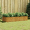 ZEYUAN Jardinera Acero corten 200x80x40 cm, Huerto Urbano Terraza, Jardineras Exterior, Jardineria Maceteros, Mesa De Cultivo, Huerto En Casa 824533