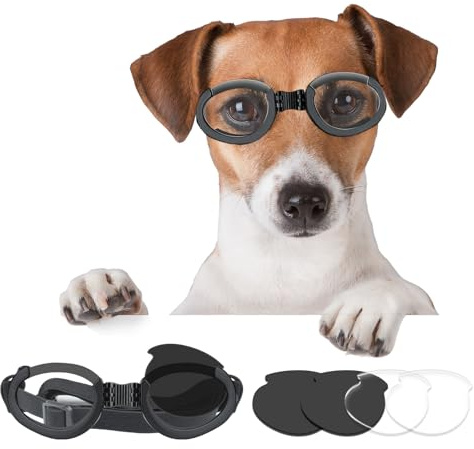 Billionchains Gafas de sol ajustables para perros, resistentes al viento, gafas de motocicleta, lentes intercambiables (negro + transparente) para perros medianos y grandes