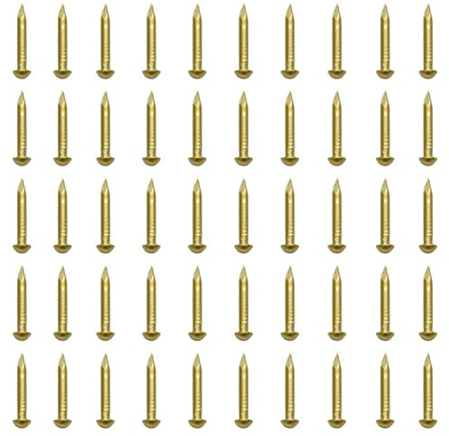 RZDEAL 100 PCS 0.08'' x 0.6'' Round Head Brass Nails for Hinges Boxes Craft Projects(DIY)