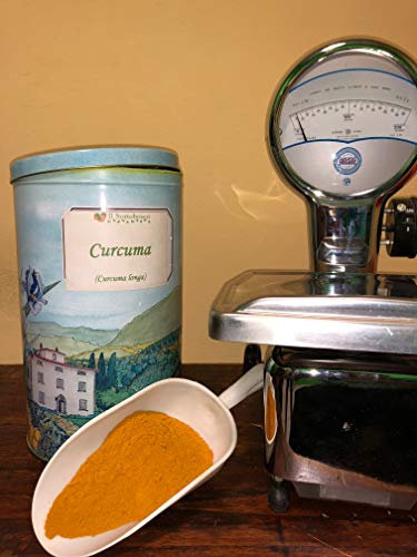 Curcuma Polvere Radice (100gr)
