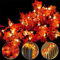 Ainkedin 10 LED Gugirlande lumineuses de feuilles d'automne, Decoration murale halloween noel, Thanksgiving