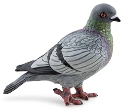 PAPO - Figura Colomba - Animale da Giardino per Bambini dai 3 Anni in su - 6 x 3 x 4 cm - Uccello Realistico in Plastica - Dipinta a Mano - Collezione Animali del Cortile - 50295