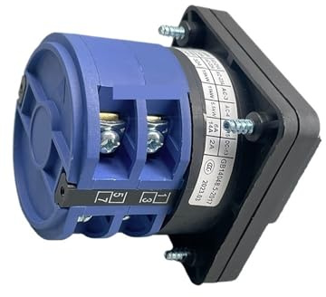 1 pz lw26-32/2 interruttore rotativo a 3 posizioni 32A 2 poli camma di commutazione interruttore universale 1-0-2 contatto in argento