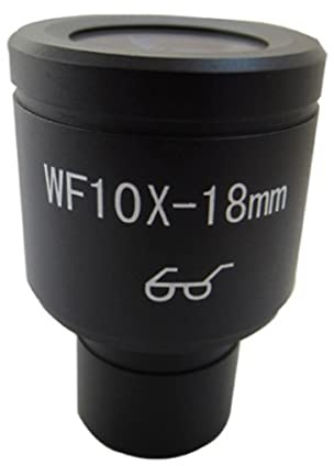Microscope 1 pc Wf10x / 1 Oureau de microscope biologique de 8 mm de la taille d'une oculaire graduée taille de montage 23.2mm