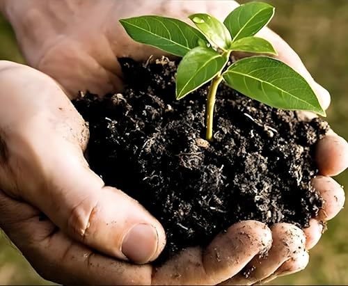 Compost multiusos de 20 litros, tierra para macetas de primera calidad para plantas, verduras, flores, hierbas, arbustos, semillas, camas de jardín, macetas elevadas, plantas de interior de interior