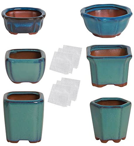happy bonsai 6 pc Mini Glazed Pots Value Set + 6 Soft Mesh Drainage Screens