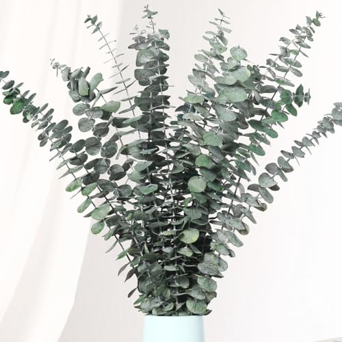 Jtoder 20 Pcs Dried Eucalyptus Stems, 17'' Natural Real Live Greenery Eucalyptus Leaves Branches Hanging Shower, Preserved Dried Plants for SPA Home Fragrance Bathroom Table Vase Decor
