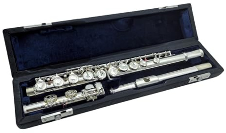 tvärflöjt instrument Flöjt 16 nyckel slutna hål instrument