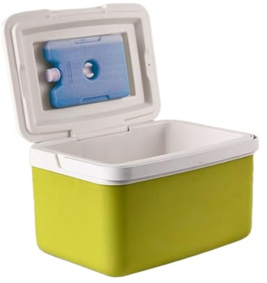 Glacière De Camping, Glacière Isotherme 6 L/9 L,Portable pour Voiture, Contenants Isothermes Portables, Livrés avec 4 Blocs Réfrigérants, pour Boissons, Snacks, Barbecue, Pique-Nique, Campin