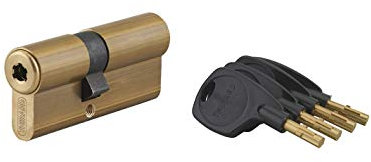 THIRARD - Cylindre de Serrure Double Entrée Surveyor - Laiton - Haute Sécurité - Anti-Arrachement, Anti-Crochetage - 31 x 41 mm - Jaune/Doré - 4 Clés à Insert