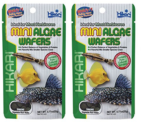 HIKARI Mini Algae Wafers 22g *Pack of Two* - BUNDLE