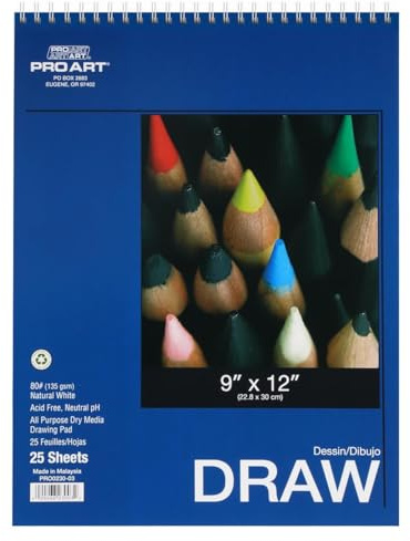 Pro Art Drawing Paper Pad 9x 12 80lb 25pc Wire Bound