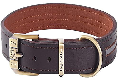 Reflektierendes Echtleder Hundehalsband verstellbar weich gepolstert für kleine, Mittelgroße und Extra Große Hundehalsbänder (Braun L(Hals 46cm-56cm))