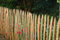 Staketenzaun aus Kastanienholz H=100cm, L=10m, Staketenabstand=5cm