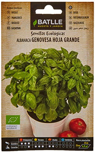 Graines Bio de Batlle - Basilic Grand Vert (1,5g)