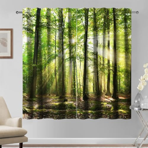 Kzzfqxb 132×214cm Set di 2 pannelli di tende da foresta, paesaggio naturale verde, foresta di giungla, alberi, foglie cadute, tendaggi per soggiorno e camera da letto, isolanti dalla luce