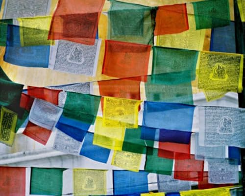Banderas de oración de algodón budista tibetano de comercio justo, hechas a mano en Nepal, juego de 5 cuerdas (50 banderas en total), diseños tradicionales de caballos de viento, auténtica decoración
