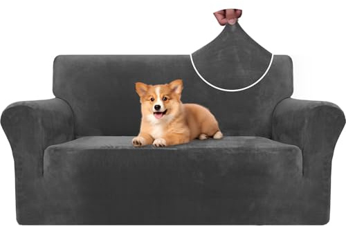 CYCMACO Copridivano Velluto Spesso 2 Posti, Universale Copridivani Elasticizzati, Copri Divani Antiscivolo, Moderno Sofa Cover Antigraffio, Fodera Divano Antimacchia Lavabile, Grigio