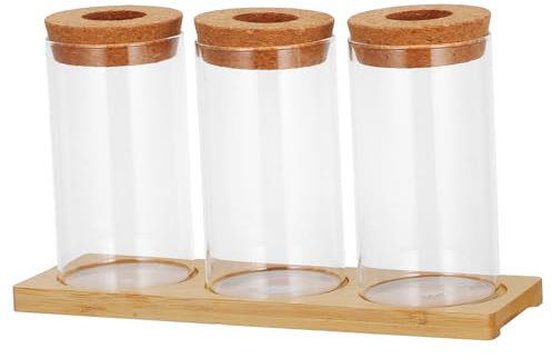 INOOMP Set Di 3 Contenitori Idroponici in Per Piante Vassoi Per La Piantagione D'acqua Per Ufficio E Casa