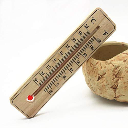 ESden - Termometro da appendere alla parete, per garage, interni ed esterni