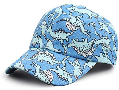 XIAOHAWANG Kinder Caps Jungen Schirmmütze mit UV Schutz Waterproof Sommer Kappe Waschbar Baby Jungen Cappy Baseball Cap 2-6Jahren (2-6Jungen, Blau Dinosaure)
