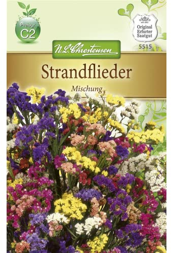 Chrestensen Strandflieder 'Mischung'