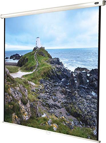 celexon Economy Rollo-Leinwand 110 | 200x200 cm 1:1 | manuell ausziehbare 4K, Full-HD Beamerleinwand für Projektionen im Heimkino & Büro | Wand- & Deckenmontage/zum Aufhängen