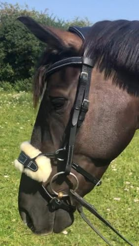ANATOMICAL HIGH JUMP BRIDLE DETACHABLE SHEEPSKIN/NEOPRENE PADDED COMFORT SHOW STITCHING (COB/MEDIUM, BLACK)