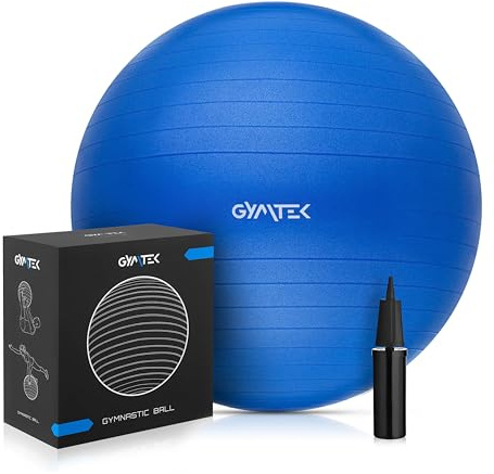 Ballon de Gymnastique 65 cm avec Pompe - Pilates Balles d'exercices Fitness - Ballon pour l'exercice et Le Yoga - Anti-éclatement Fitness Balles - pour Entraînement Abdominal et des Épaules