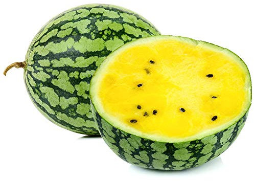 PREMIER SEEDS DIRECT - Watermelon Seeds - Petite Yellow - 60 Seeds
