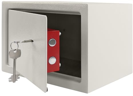 HENGMEI Tresor Möbeltresor mit Doppelbartschloss Aufhängbar Stahltür 2 Schlüssel, Für Wohnwagen Schränke Büroschränke,L 31 x 20 x 20cm (Silber)
