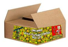 BIGBUDZ ROCKHARD Venus Flytrap Box Set │ 3 Seeds!