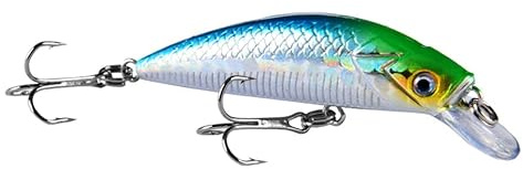QIUSHIBO Leurre Peche Leurre de pêche Artificiel Crankbait, appât Dur Wobbler, 6 cm, g, 1 pièce(NO4)